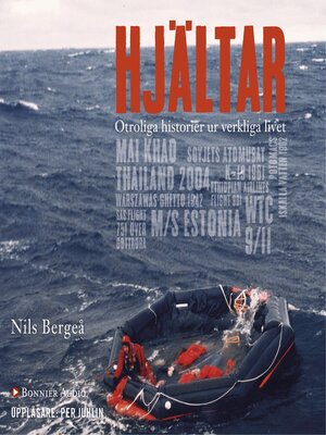 cover image of Hjältar